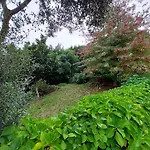 Casa Do Penedo - Quinta De Fundevilla Gospodarstwo agroturystyczne