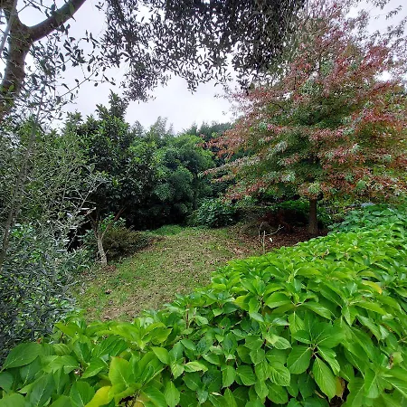 Casa Do Penedo - Quinta De Fundevilla 农家乐