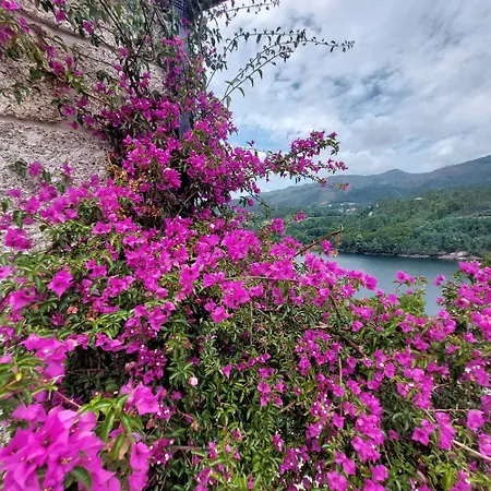Casa Do Penedo - Quinta De Fundevilla