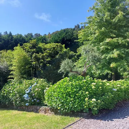 Casa Do Penedo - Quinta De Fundevilla * 吉尔斯