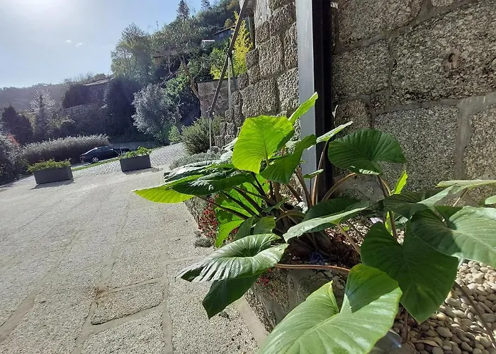 Agroturismo Casa Do Penedo - Quinta De Fundevilla Gerês