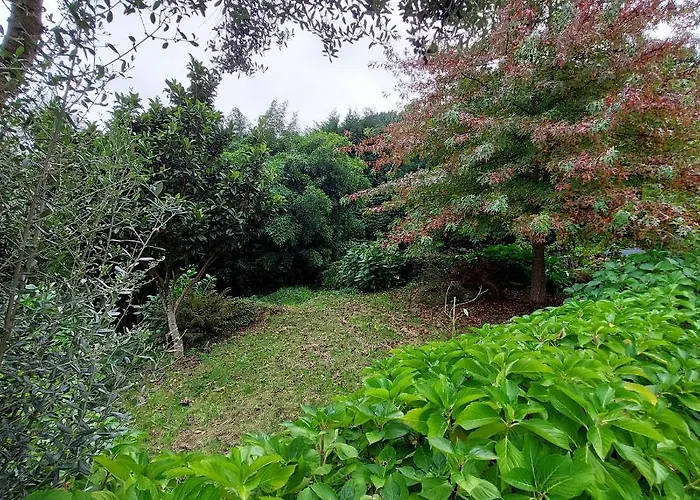 Casa Do Penedo - Quinta De Fundevilla 팜스테이