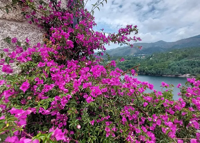 Casa Do Penedo - Quinta De Fundevilla